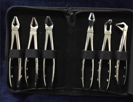 Extracting Forceps Ruba 6Pieces Set