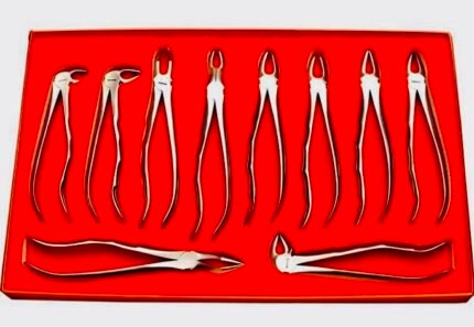 N3industries Extracting Forceps set of 10 pieces